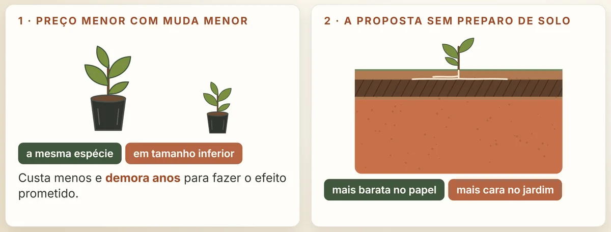 As duas armadilhas que se repetem: o preço menor com muda menor e a proposta sem preparo de solo