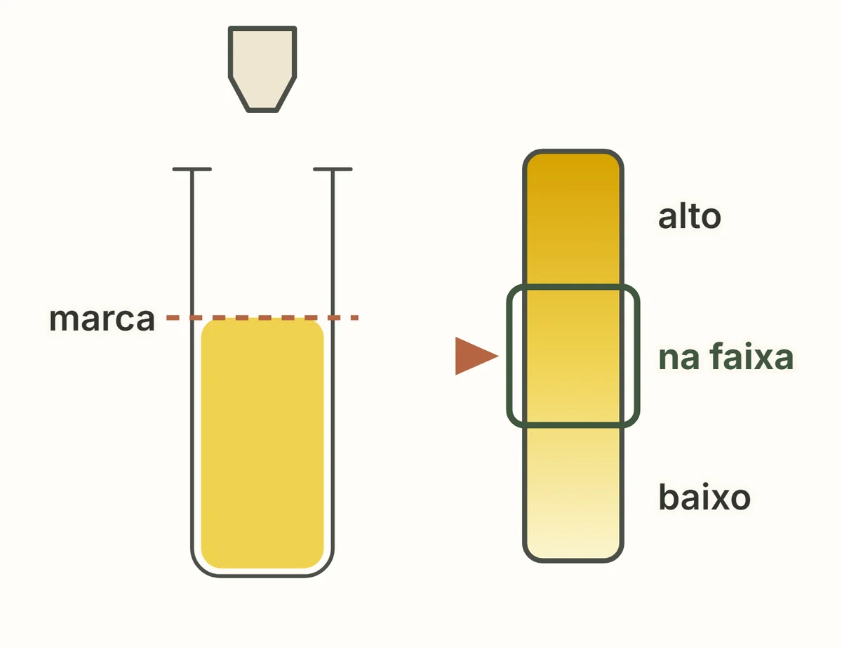 Estojo de reagentes: o tubo cheio até a marca e a cor da amostra comparada com a escala.