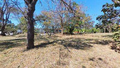 Fundo esquerdo — Área Verde